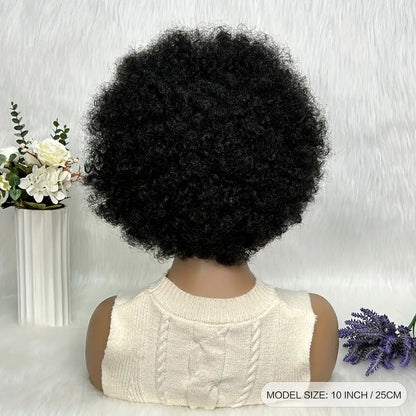 Afro Braid Wig - Short Hair Fashion Hook