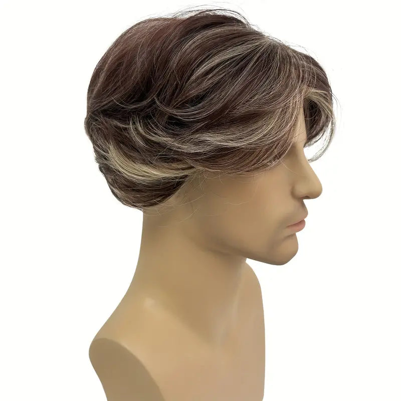 Elegant Men's Short Wig with Highlights