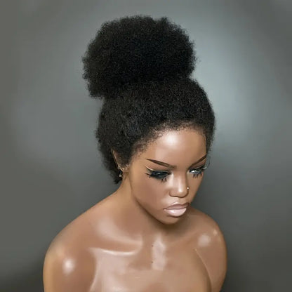 Luxurious 22" Afro Kinky Curly Lace Front Wig